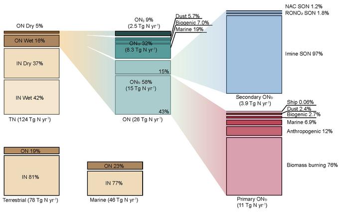 Organic nitrogen aerosol is an important contributor to global atmospheric nitrogen deposition