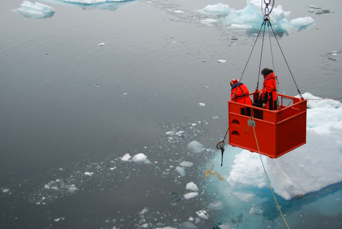 Scientists sample a brown mat of aggregated phytoplankton.