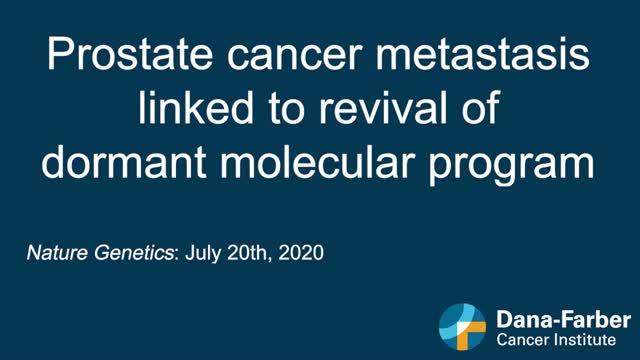 Prostate Cancer Metastasis Linked to Revival of Dormant Molecular Program