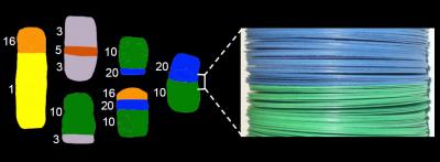 Relationship between Shape and Structure