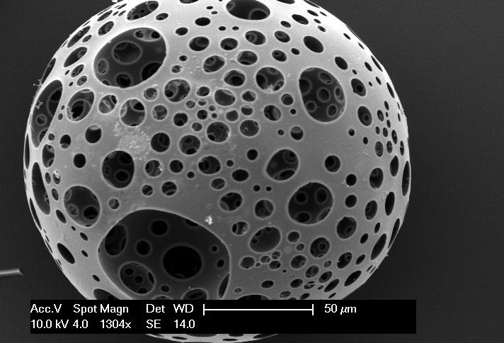 Stem-Cell Carrying Microsphere