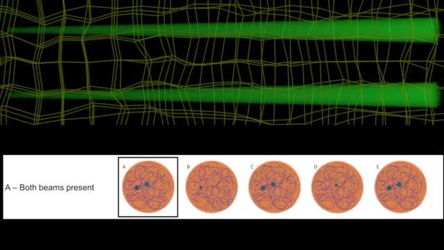 Optical Self-Trapping in a Hydrogel