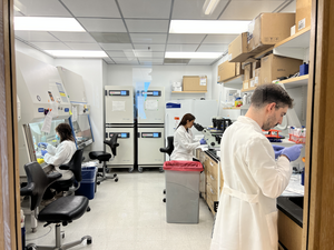 Members of the Barreiro Lab conduct cell culture experiments