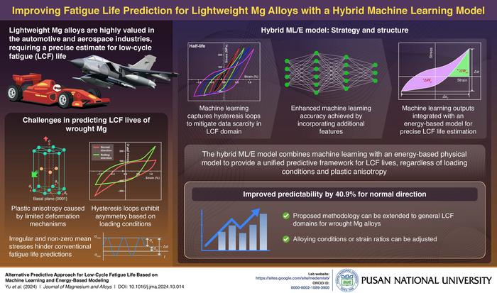 Improving fatigue life prediction for lightweight magnesium alloys with a hybrid machine learning model.