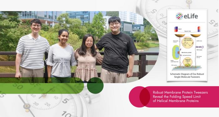 Professor Duyoung Min and his research team