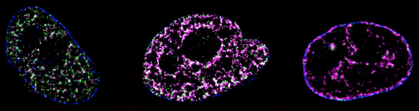 Spatio-temporal patterns of RFi propagation dynamics at super-resolution