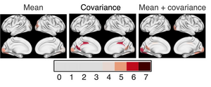 Brain regions that contribute in controlling state transition from rest to the seven cognitive tasks recorded in the Human Connectome Project (HCP)