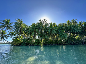 An islet of the Palmyra Atoll