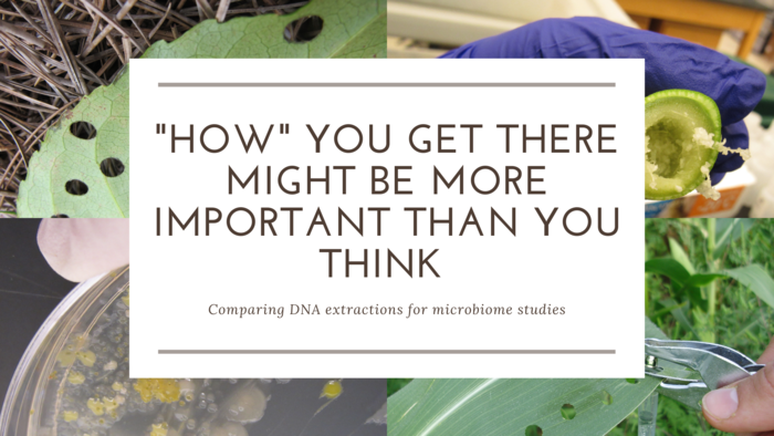 Comparing DNA extractions for microbiome studies