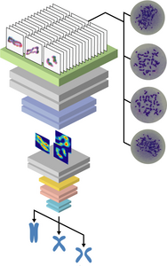 Schematic of the new machine learning scheme.