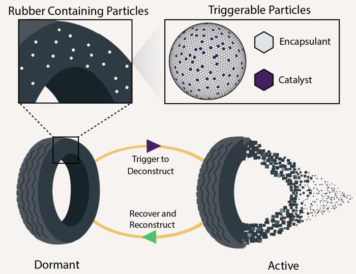 Sandia National Laboratories researchers demonstrate how building a catalyst and reagents inside a plastic or rubber will help the product self- destruct on demand.