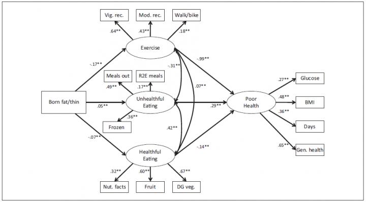 Figure 1. Structural Equation Model