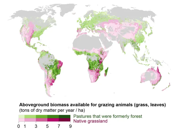 Edible pasture grasses and vegetation grown map