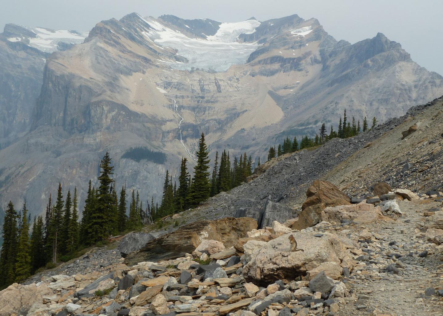 Burgess Shale (1 of 2)