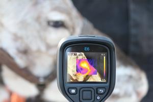 Infrared thermal imaging