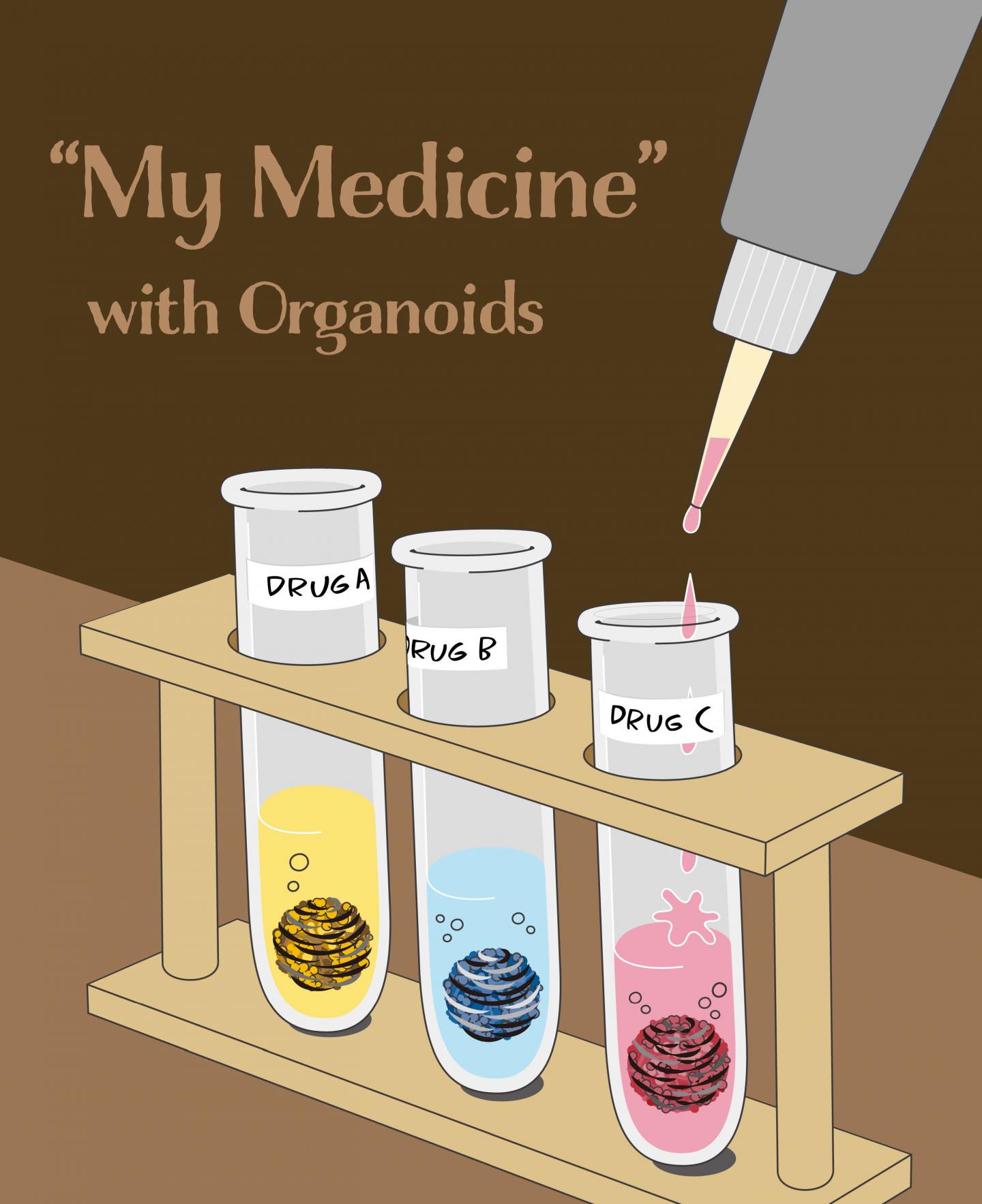 Illustration of Genotyped human liver organoids