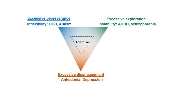 Balancing behavioural states