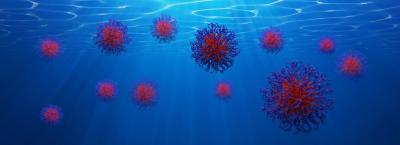 Micelles in Solution