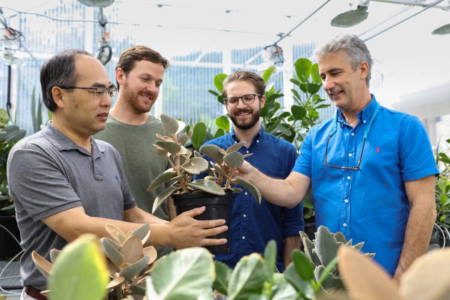 SimPath Licenses Novel ORNL System for Enhanced Synthetic Biology (3 of 3)