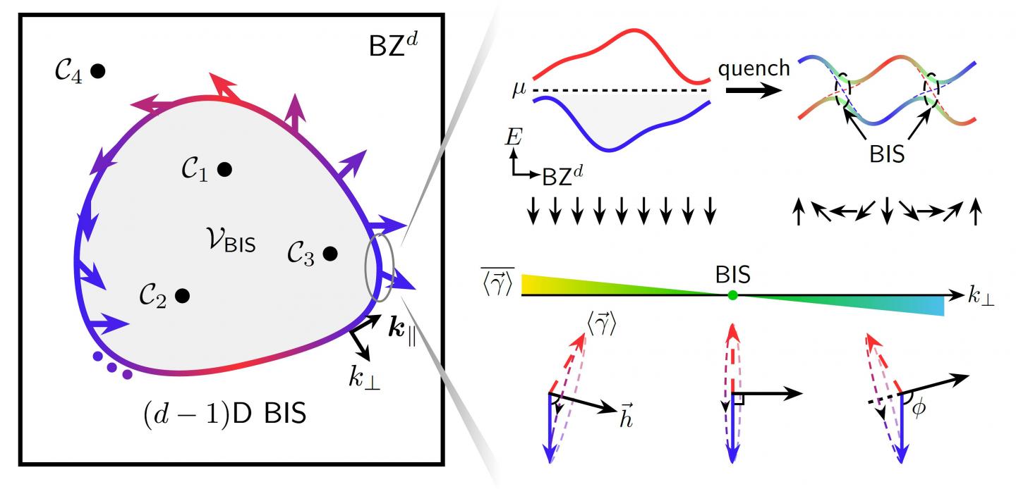 Universal Dynamical Characterization of the D-Dimensional Topological Quantum Phases