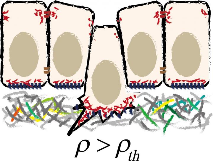 Schematic Illustration