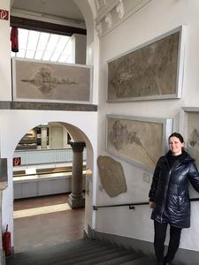 Palaeobiologist Julia Türtscher in the Bavarian State Collection of Palaeontology and Geology in Munich, where several specimens of the new ray species are on display.