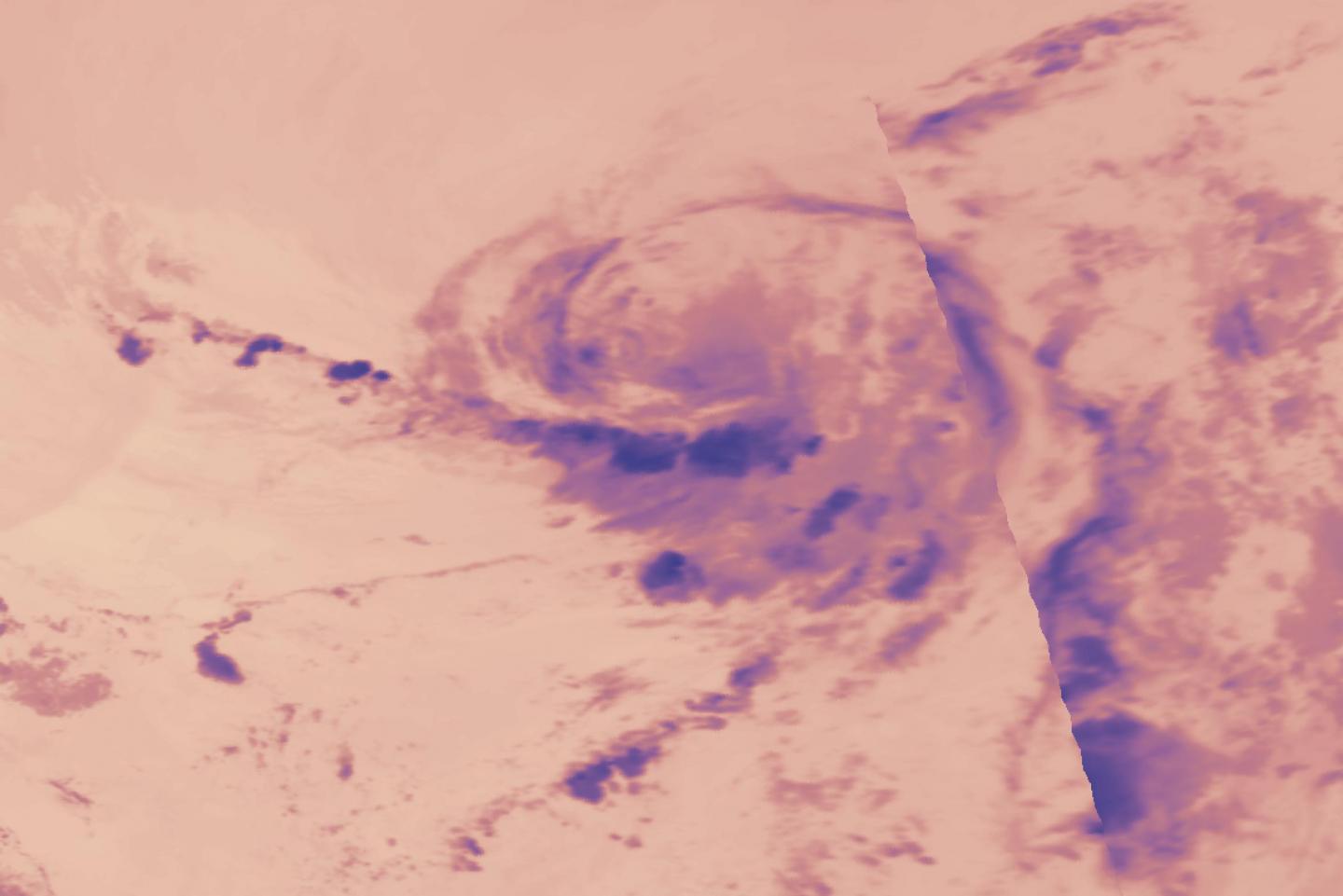 Terra image of Dolly