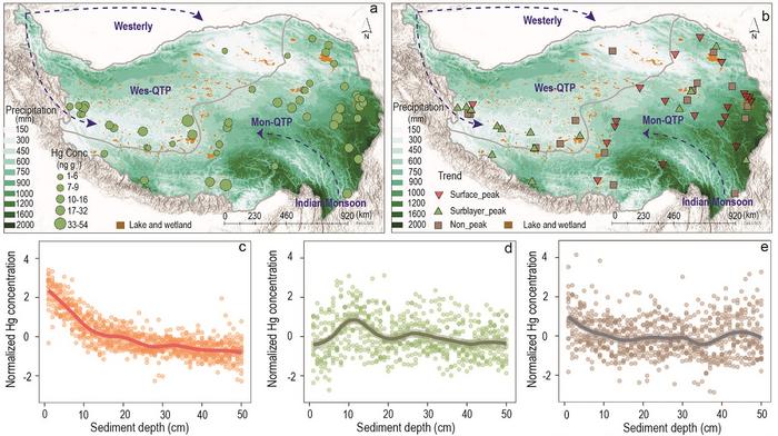 Distribution of the mercury concentration in the top 50 cm cores of wetland sediments across the Qinghai-Tibet Plateau.