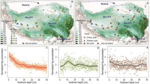 Distribution of the mercury concentration in the top 50 cm cores of wetland sediments across the Qinghai-Tibet Plateau.