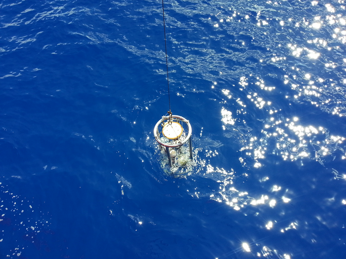 Secchi disks are lowered into the water to measure phytoplankton abundance