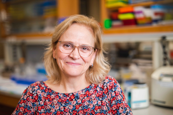 Susan Alberts, winner of the BBVA Foundation Frontiers of Knowledge Award in Ecology and Conservation Biology.