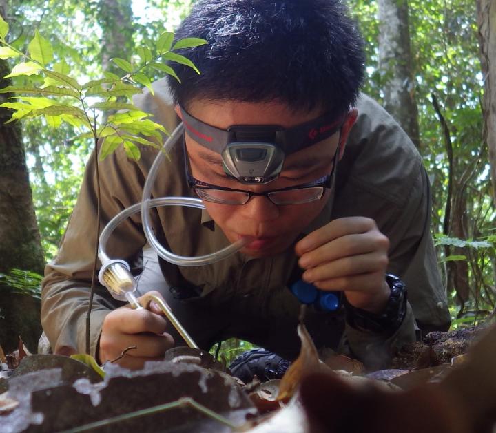 Cong Liu, OIST Ph.D. Student, in the Field