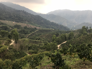 Sierra Nevada Santa Marta, Colombia