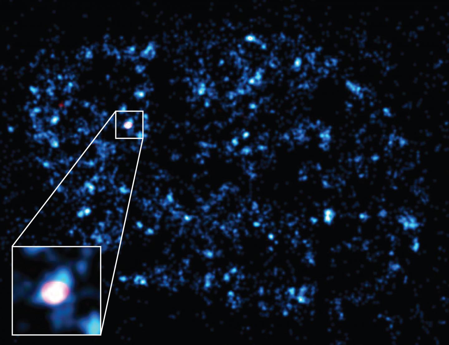 Seeing Transcription (2 of 2)