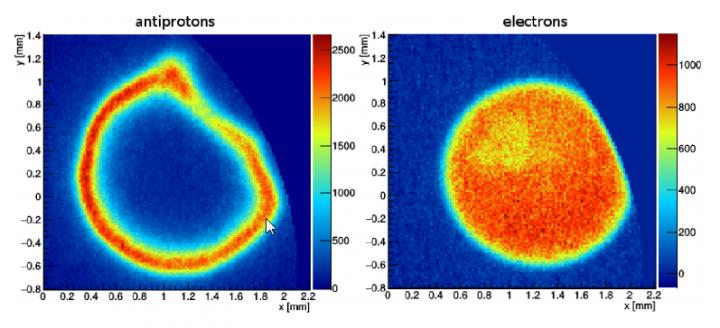Example of Raw Images from the Detector for Identical Particle Operations