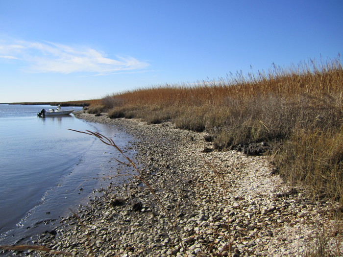 Eroding archaeological site on Maryland’s Eastern Shore