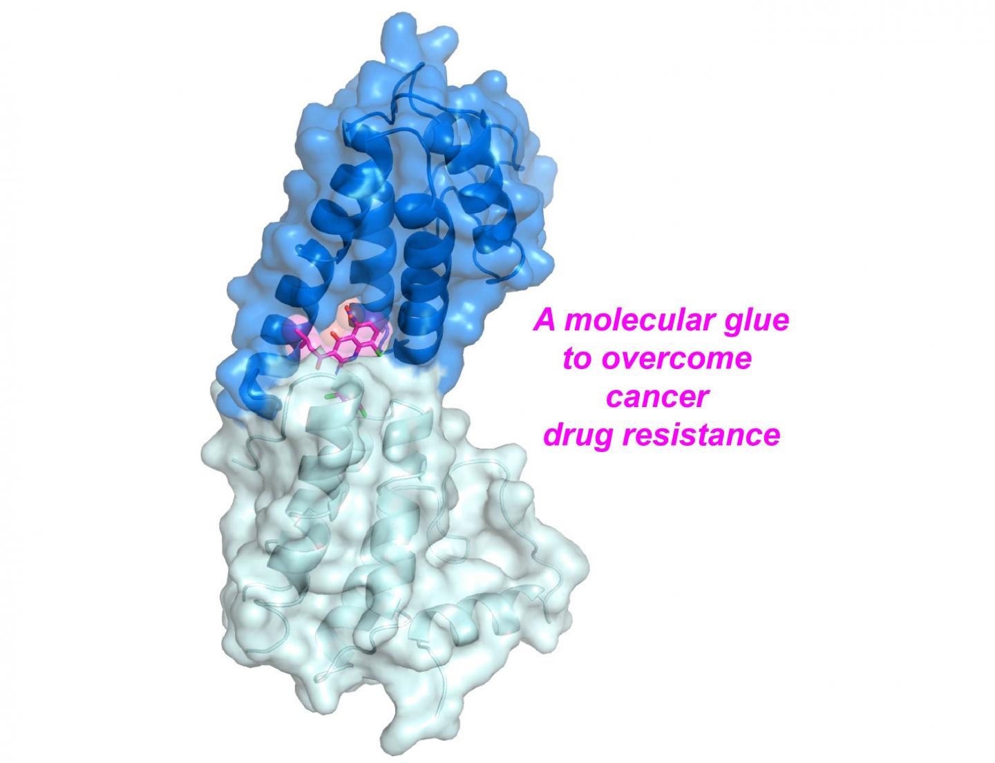 Small Molecule Drug May Prevent Chemotherapy Resistance