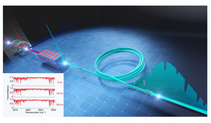 Detecting the molecular vibration information | EurekAlert!