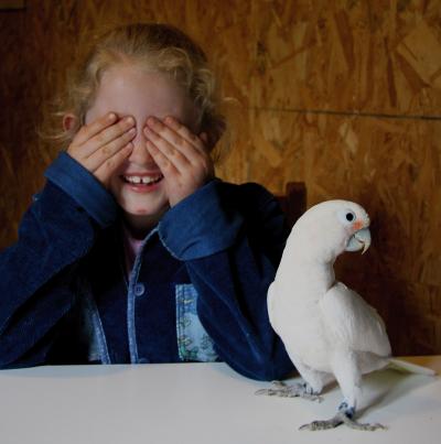 Child and Cockatoo