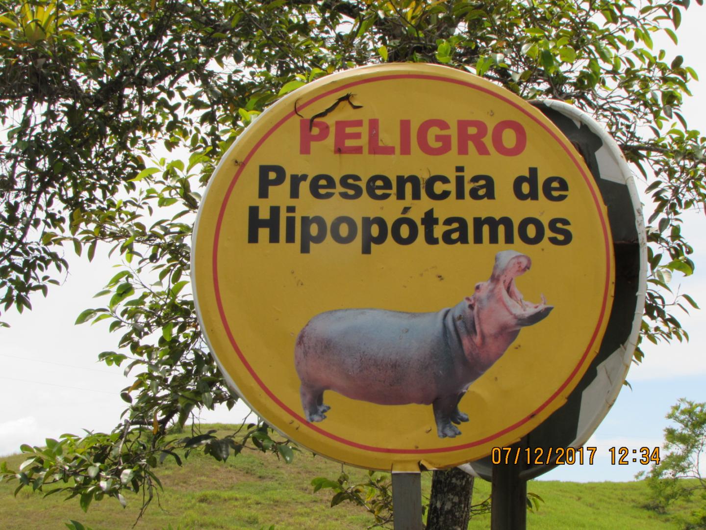 Hippo Warning Sign