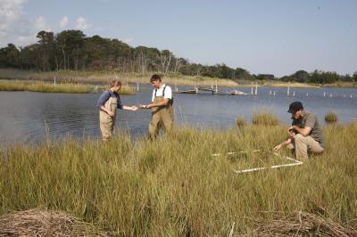 Drexel University Students Perform Field Research at Barnegat Bay, N.J.