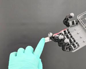 Photo 2: Robotic hand and the electronic skin