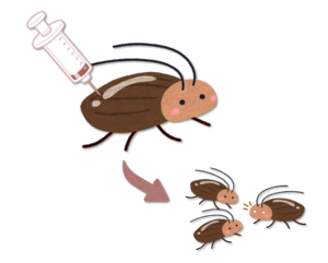 Cartoon of CRISPR in cockroaches