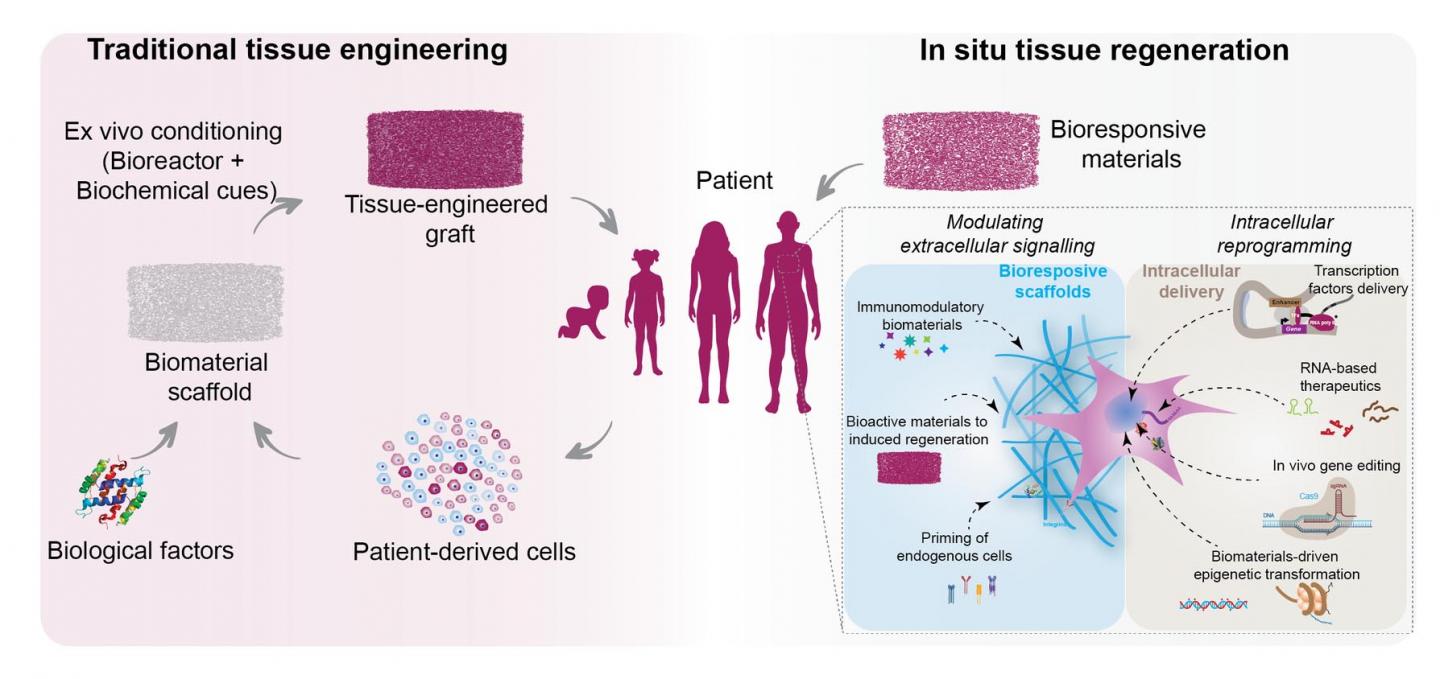 Schematic of Two Approaches for Using Biomaterials