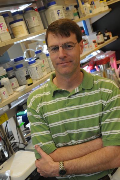 Lindsey Mayo, Ph.D., Indiana University School of Medicine