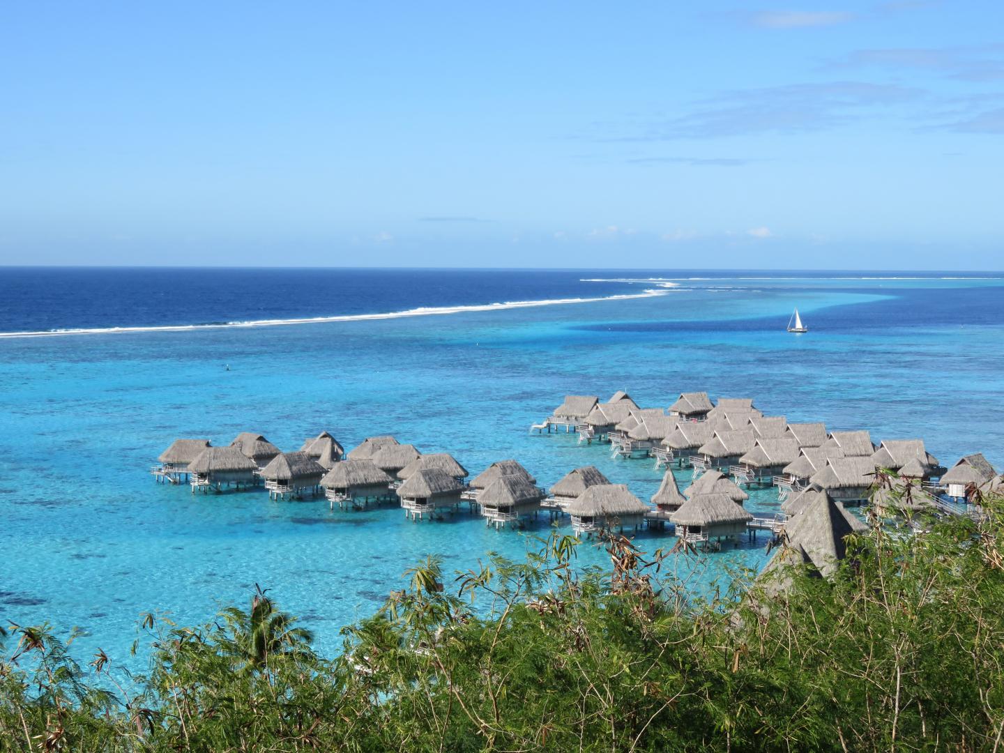 Coral Reef Structure Matters Most, for Keeping Tropical Coastlines Intact (3 of 8)