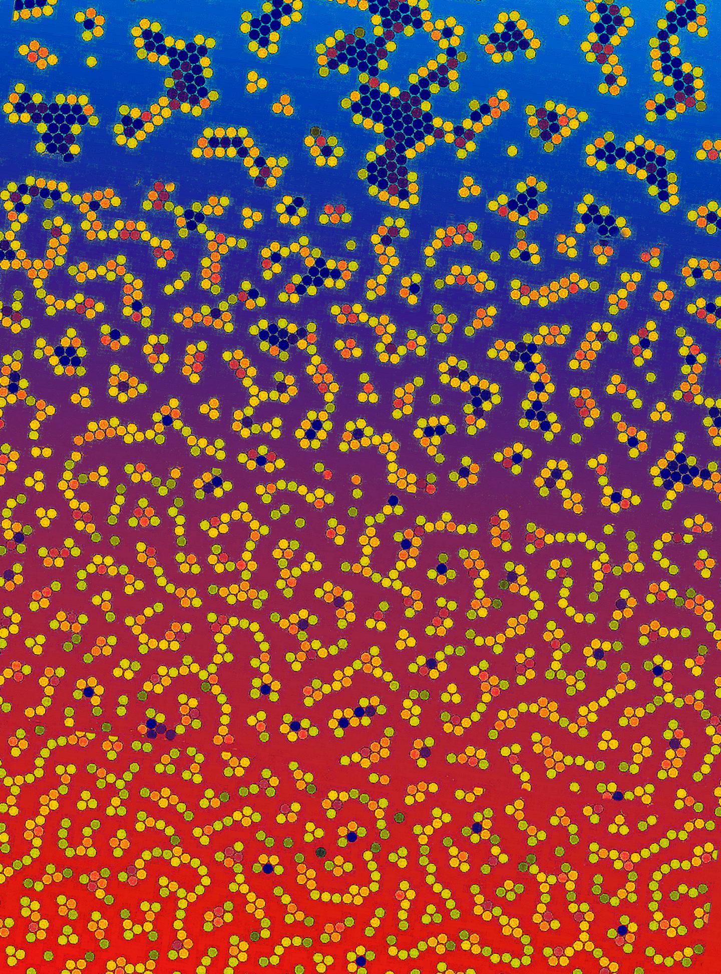 Simulated Particles Aggregating in Different Degrees and Forming Structures