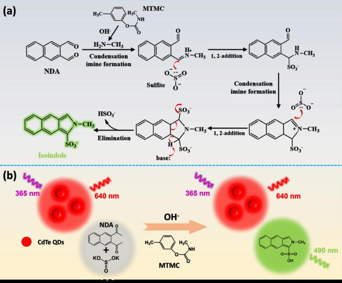 A Nanoprobe Developed for Visual Quantitative Detection of Pesticides