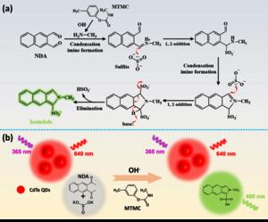 A Nanoprobe Developed for Visual Quantitative Detection of Pesticides