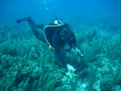 Preparing for Coral Reef Survey